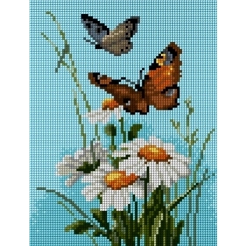 Kanwa STOKROTKI I MOTYLE 18x24